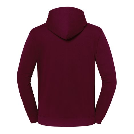  Sweat-shirt à capuche Iconic 250