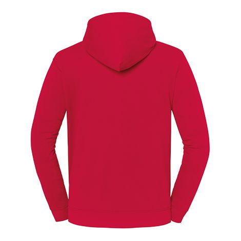  Sweat-shirt à capuche Iconic 250