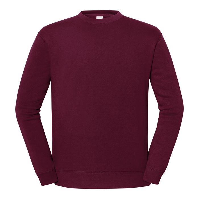  Sweat-shirt Iconic 250