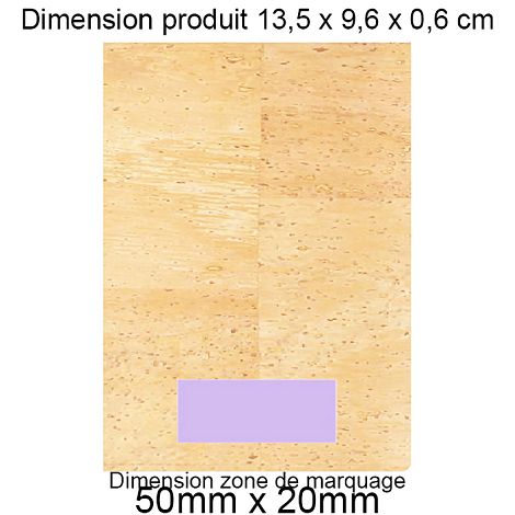  PORTE-PASSEPORT / CARTE GRISE / ASSURANCE LIEGE