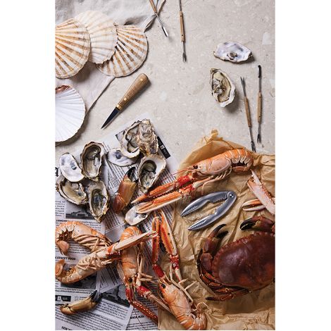  VINGA Histoire des fruits de mer