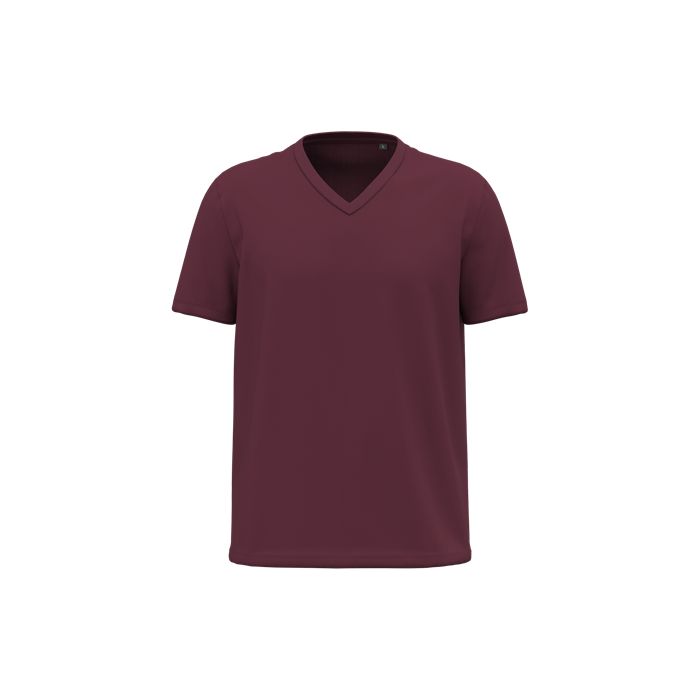  T-shirt Bio150 col V homme