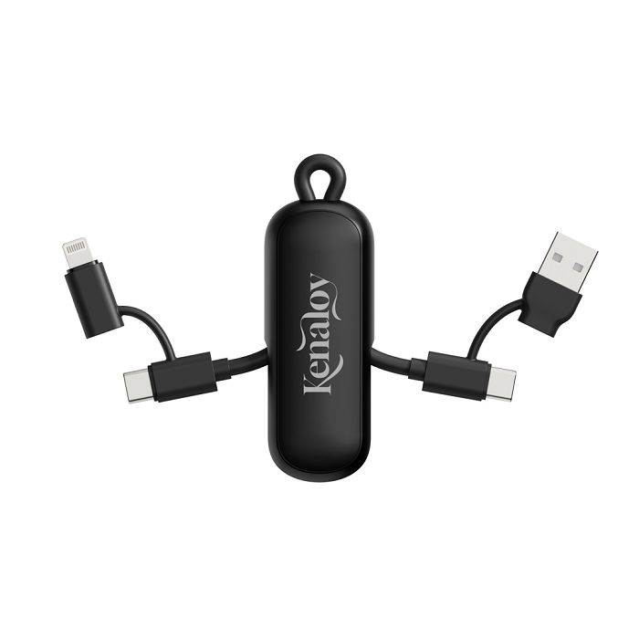  Câble 100W porte-clés 4-en-1 Urban Vitamin Dublin