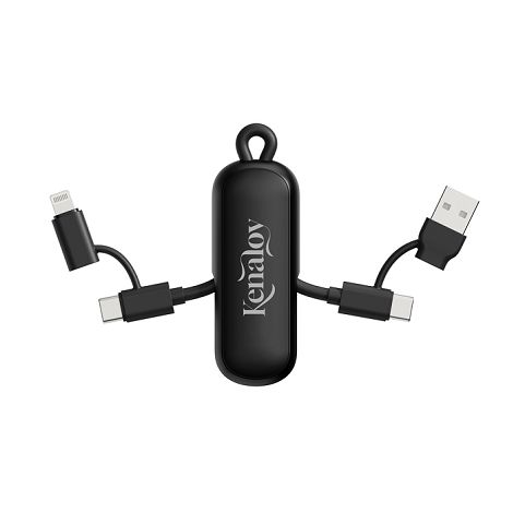  Câble 100W porte-clés 4-en-1 Urban Vitamin Dublin