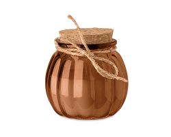Bougie vanille cire végétale