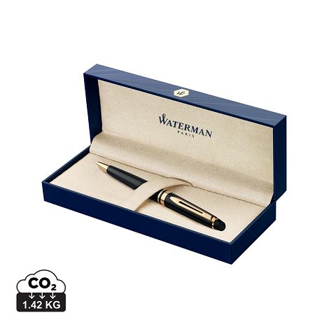  Waterman Stylo noir modèle EXPERT GT