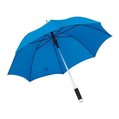 Parapluie canne