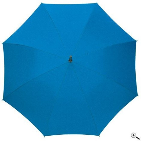 Parapluie canne