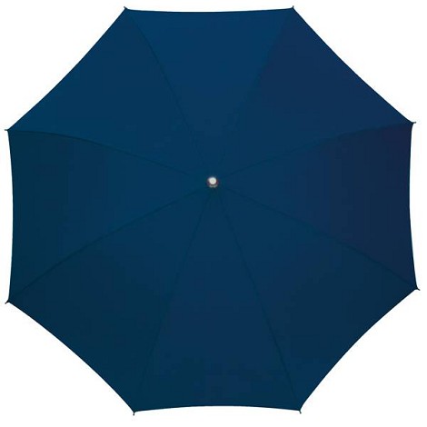 Parapluie canne