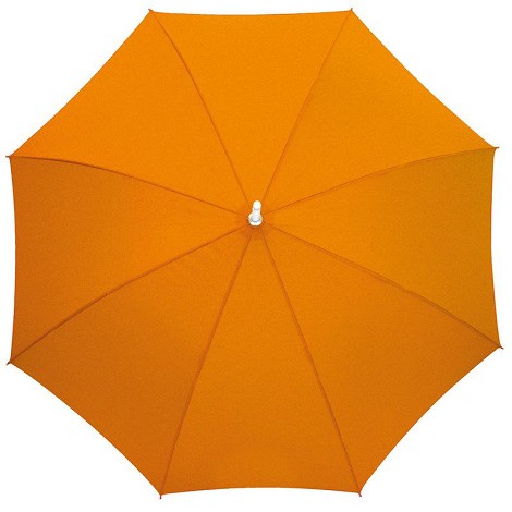 Parapluie canne