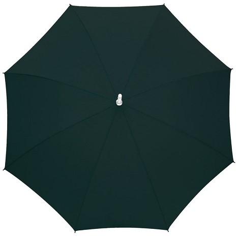 Parapluie canne
