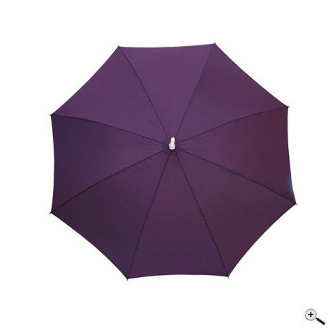 Parapluie canne