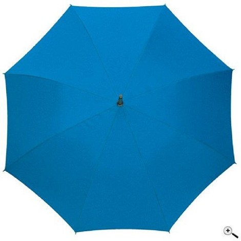 Parapluie canne