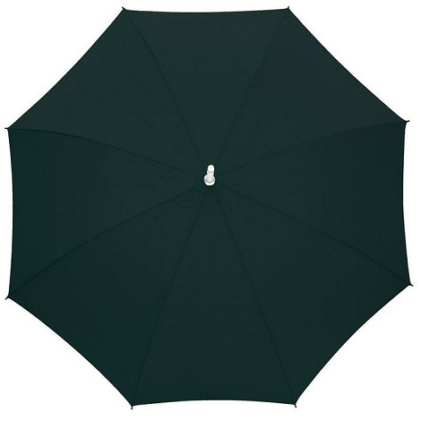 Parapluie canne