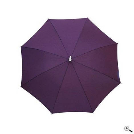 Parapluie canne