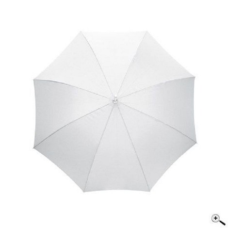 Parapluie canne