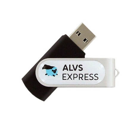 Clé USB publicitaire 4Go LIVRÉE EN 3 JOURS
