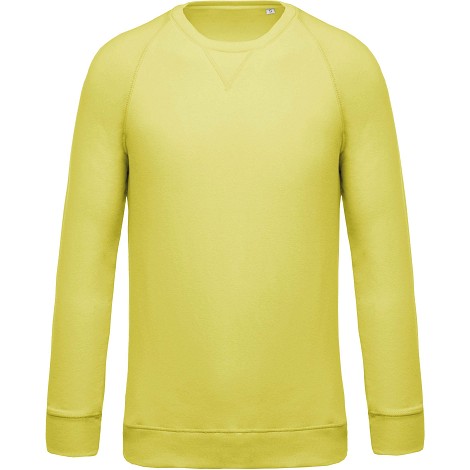 Sweat shirt écologique pour homme