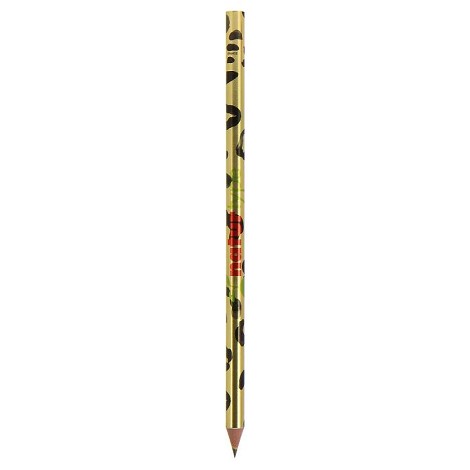 Stylo Evolution Metallic BIC