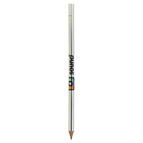 Stylo Evolution Metallic BIC