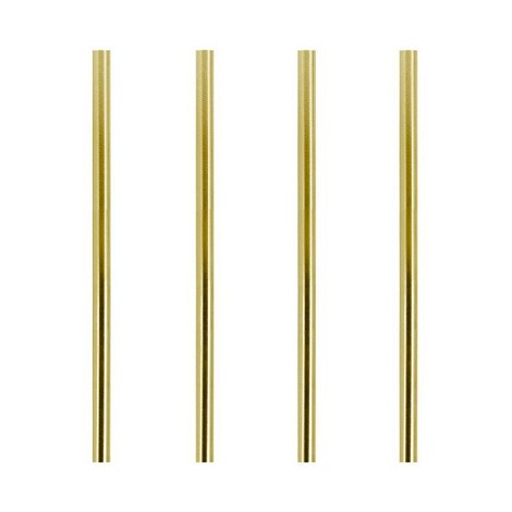 Stylo Evolution Metallic BIC