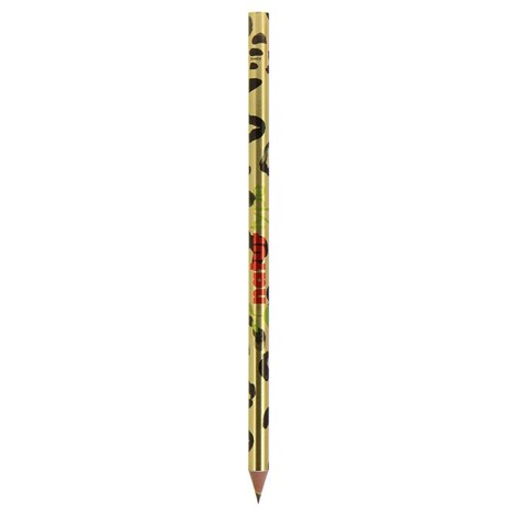Stylo Evolution Metallic BIC