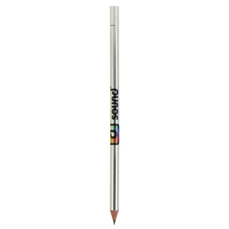 Stylo Evolution Metallic BIC