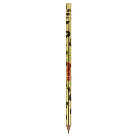 Stylo Evolution Metallic BIC