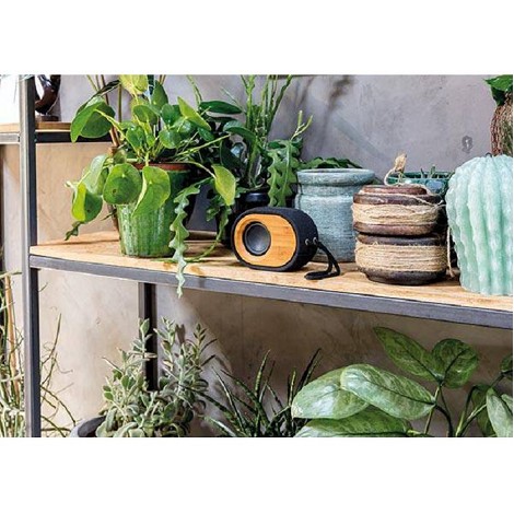 Enceinte bluetooth 5W