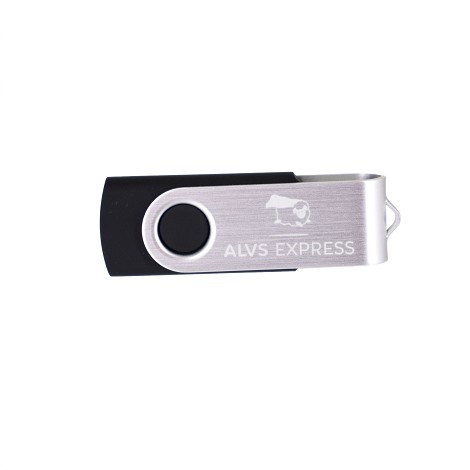 Clé USB 4Go LIVRÉE EN 3 JOURS