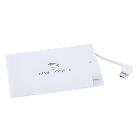 POWERBANK 2500 mAh LIVRÉ EN 3 JOURS
