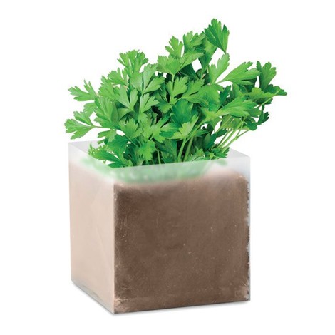 Carré végétal - Persil