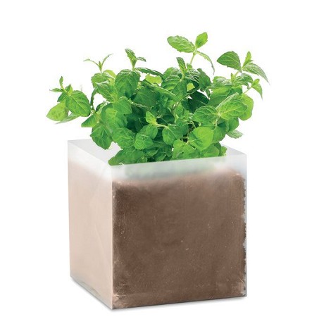 Carré végétal - Menthe