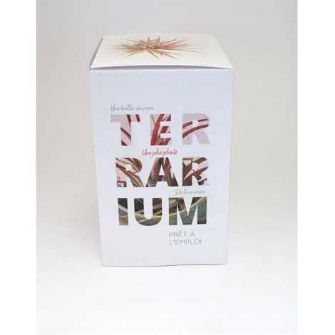Ampoule terrarium