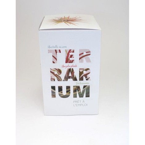 Ampoule terrarium