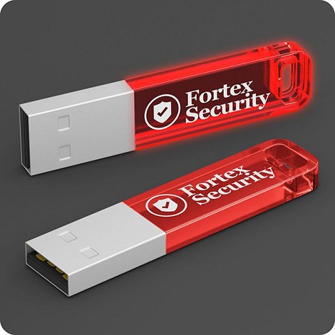Clé USB colorée 8 Go