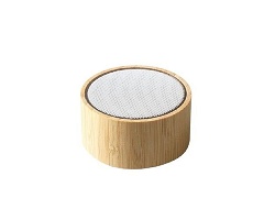 Enceinte bambou