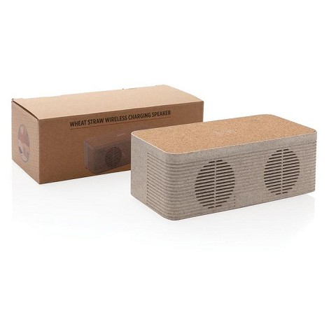 Enceinte et chargeur à induction