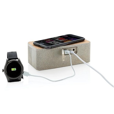 Enceinte et chargeur à induction