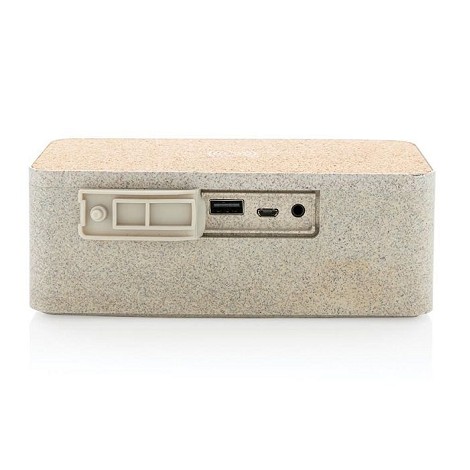 Enceinte et chargeur à induction