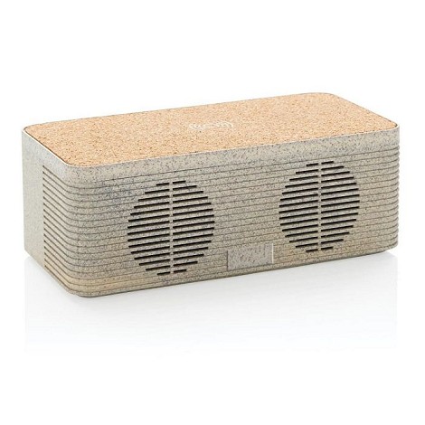 Enceinte et chargeur à induction