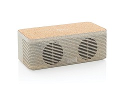 Enceinte et chargeur à induction