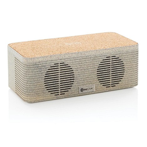 Enceinte et chargeur à induction