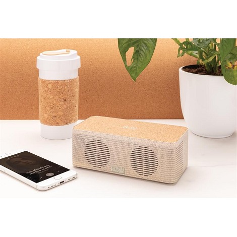 Enceinte et chargeur à induction