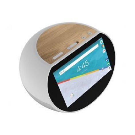 Assistant Google