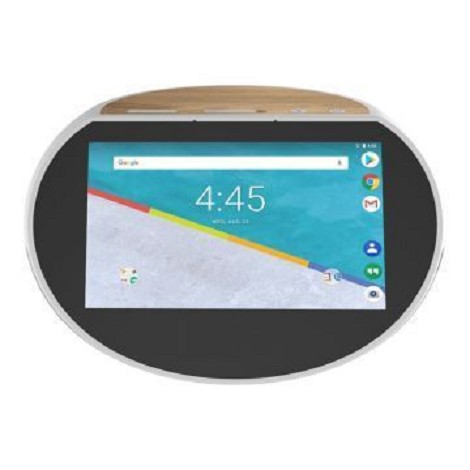 Assistant Google