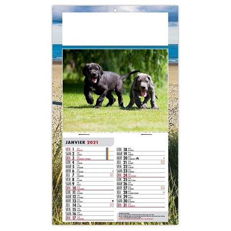Calendrier 1 vue 2021
