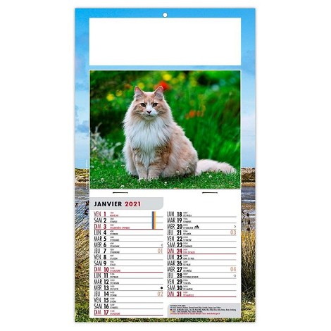 Calendrier 1 vue 2021