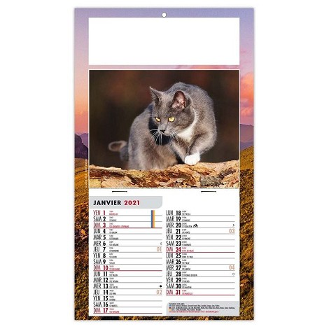 Calendrier 1 vue 2021