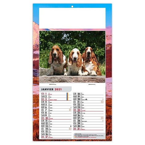 Calendrier 1 vue 2021